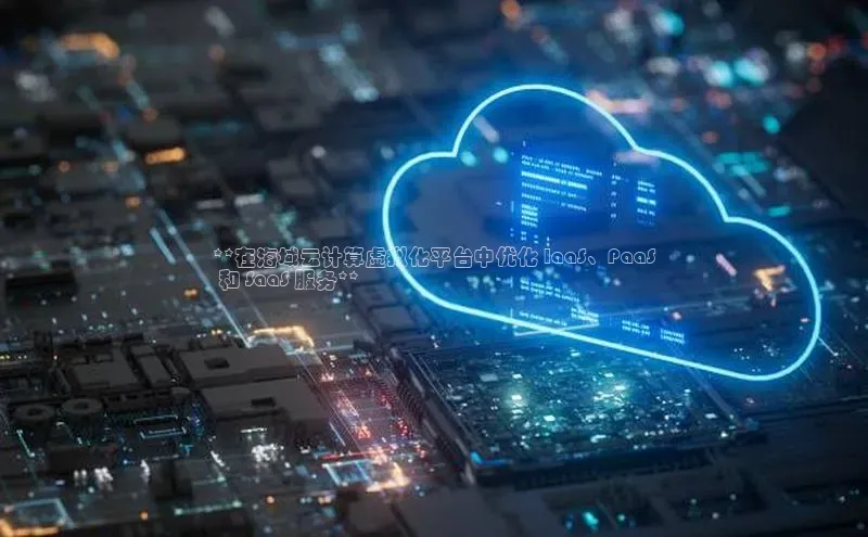 金年会体育百度 H5**在海域云计算虚拟化平台中优化 IaaS、PaaS
 和 SaaS 服务**