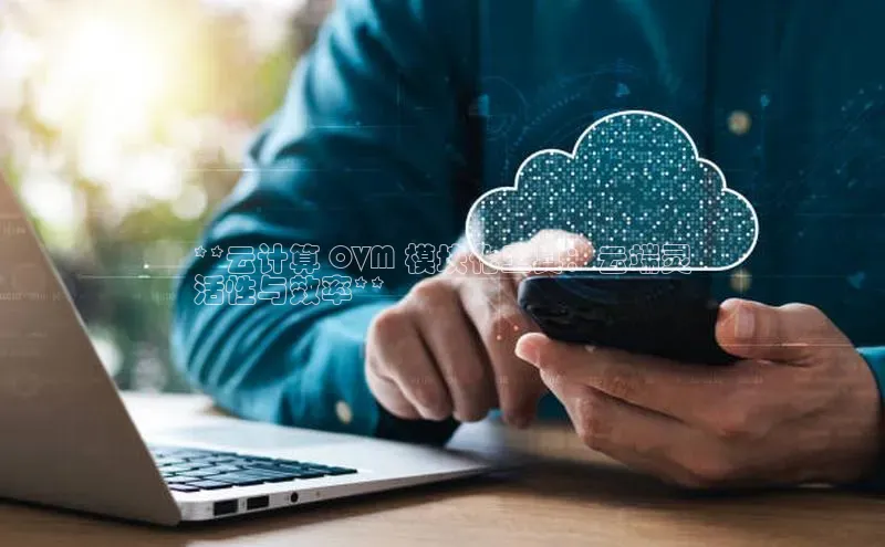 金年会金字招牌诚信至上欢迎您顺丰**云计算 OVM 模块化工具：云端灵
活性与效率**