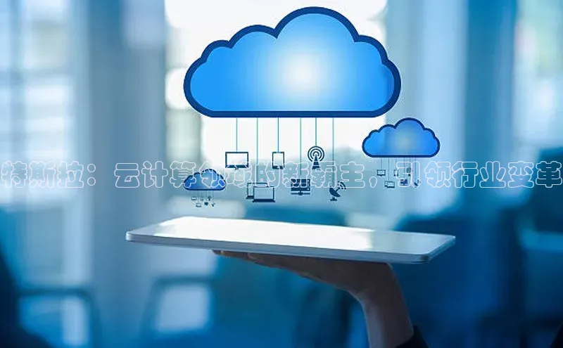 金年会app官方网巴美列捷福特斯拉：云计算领域的新霸主，引领行业变革
