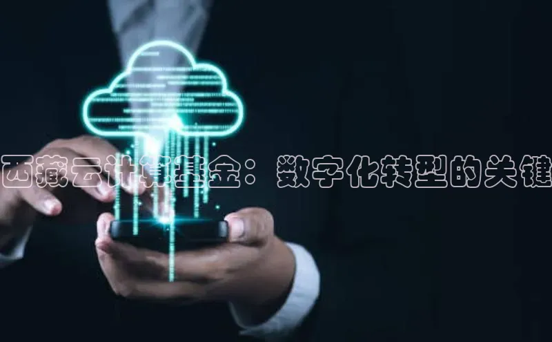 金年会app官方网百度移动开放平台西藏云计算基金：数字化转型的关键