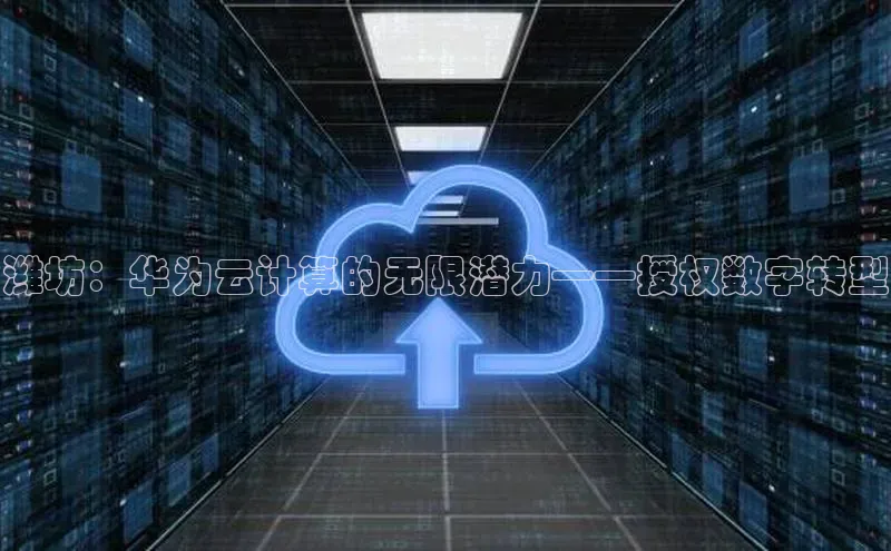 金年会 金字招牌诚信至上 | 首页(欢迎您)度小满支付潍坊：华为云计算的无限潜力——授权数字转型