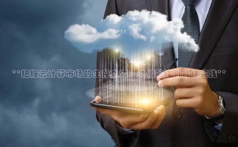 金年会电子游戏app百度大脑**把握云计算市场的生存之道：关键策略与最佳实践**