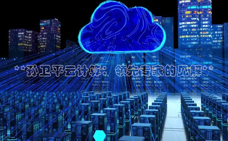 金年会·会官方入口登录彩讯股份**孙卫平云计算：领先专家的见解**